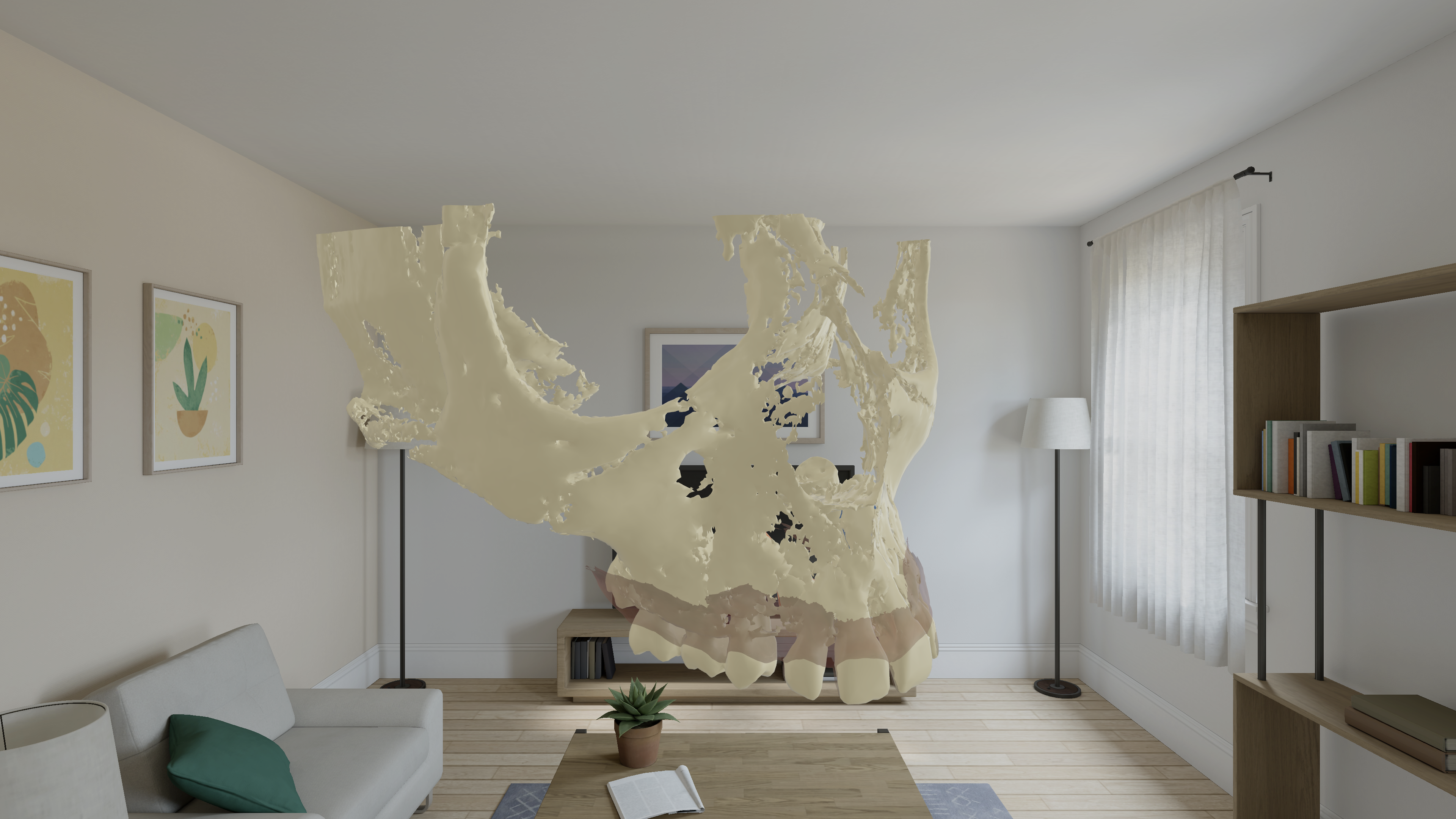 CBCT segmented model